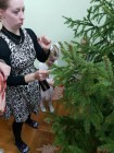 Dienos veiklos centro Kalėdų eglutės puošimas su Kretingos lopšelio-darželio "Pasaka" auklėtiniais